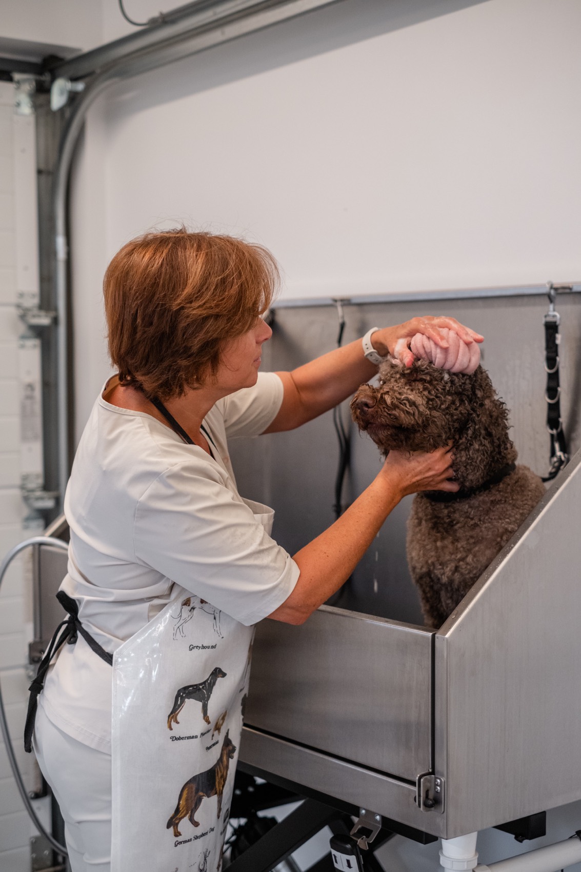 Sophie verzorgt een hond met het Soph Grooming logo op de achtergrond